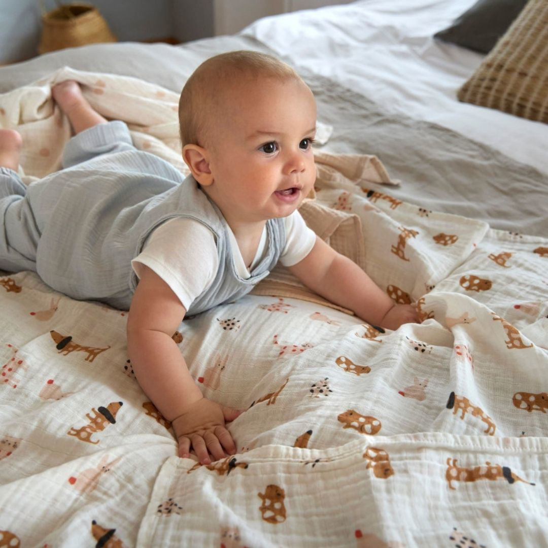 Lässig® Tetra pleničke 3 kosi 85x85 Little Mateys Royal Blue Lässig