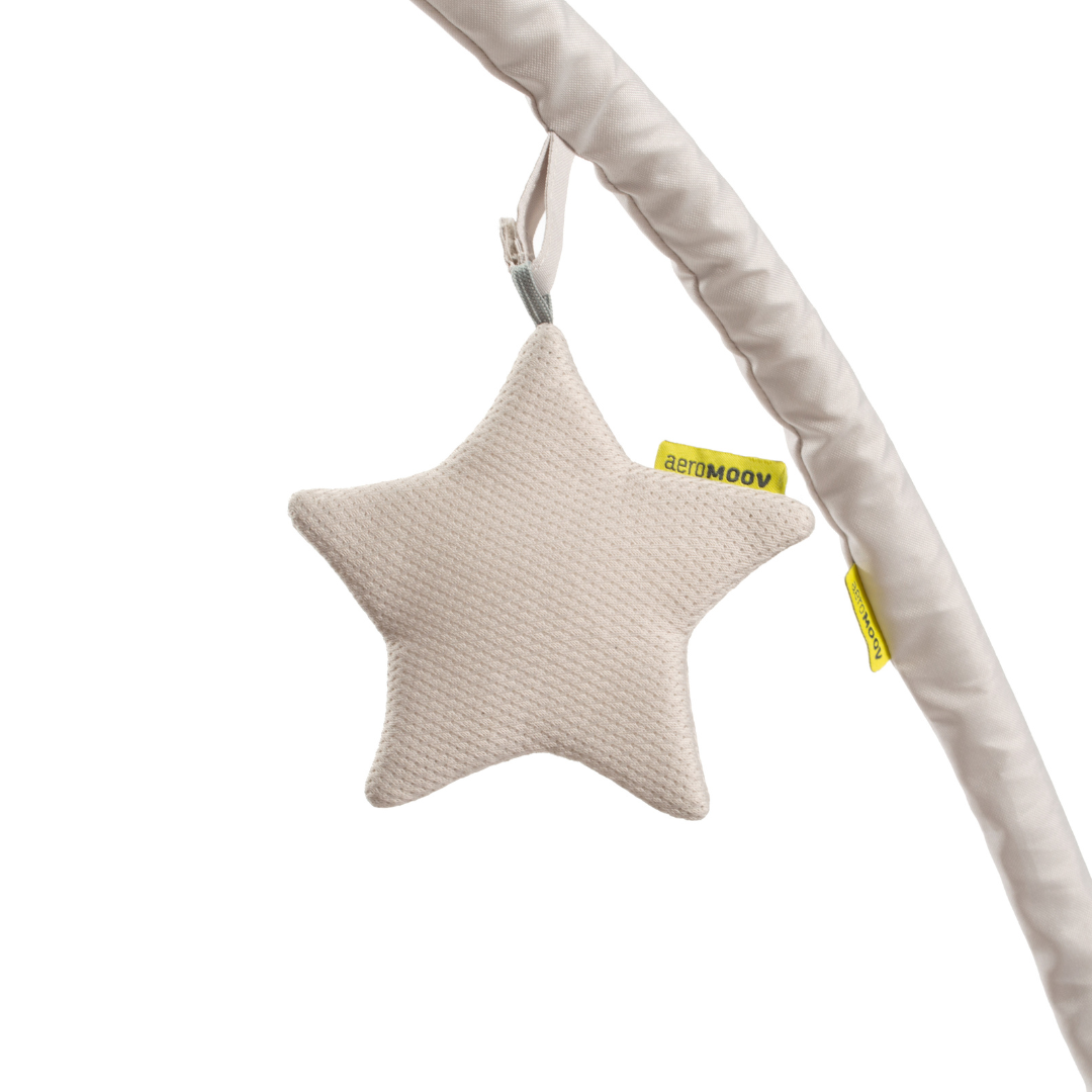 AeroMoov® Lok za igrače Grey Rock AeroMoov