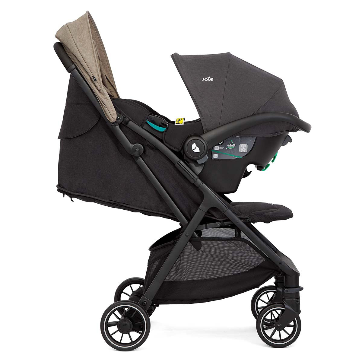 Joie® Otroški voziček Pact™ Pro Twig Joie