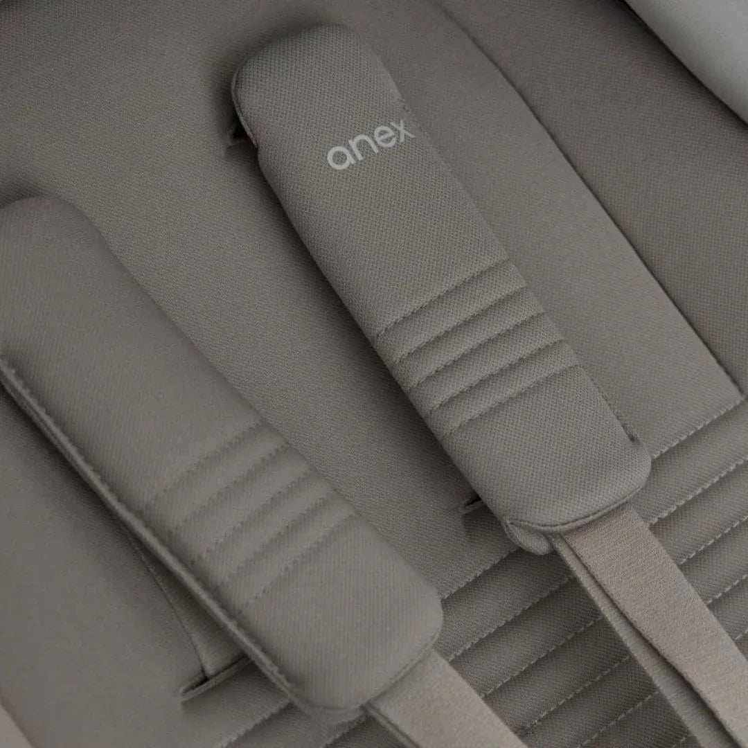 Anex® Otroški voziček 2v1 Eli Santal Anex