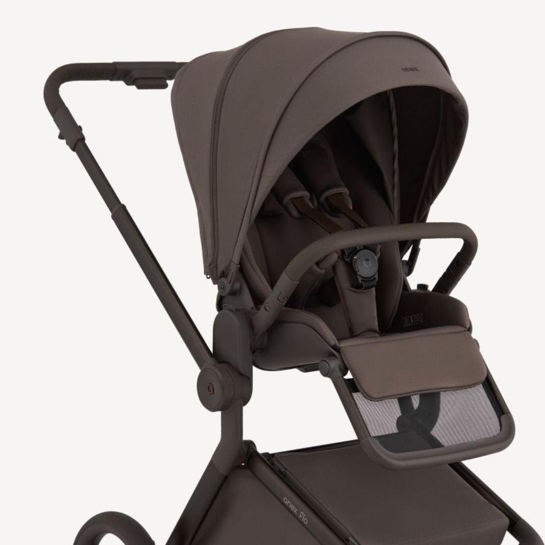 Anex® Otroški voziček 2v1 Flo Browny Anex