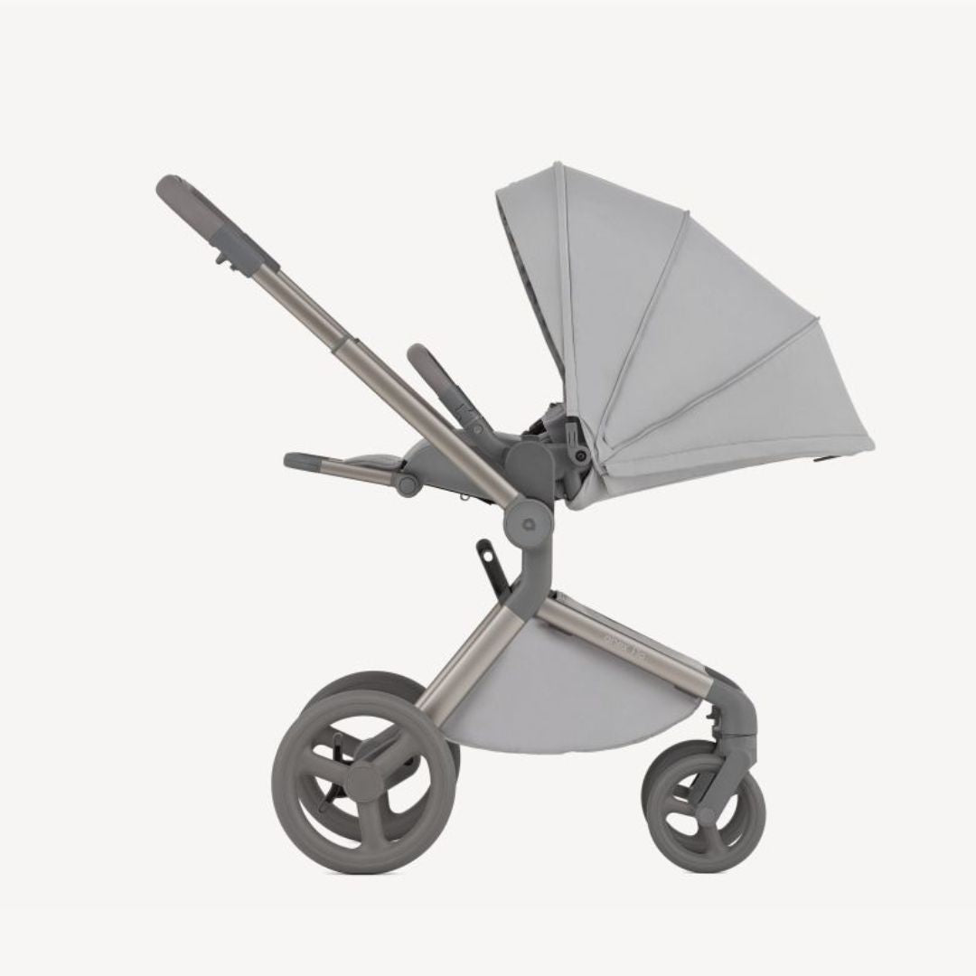 Anex® Otroški voziček 2v1 Flo Frossy Anex