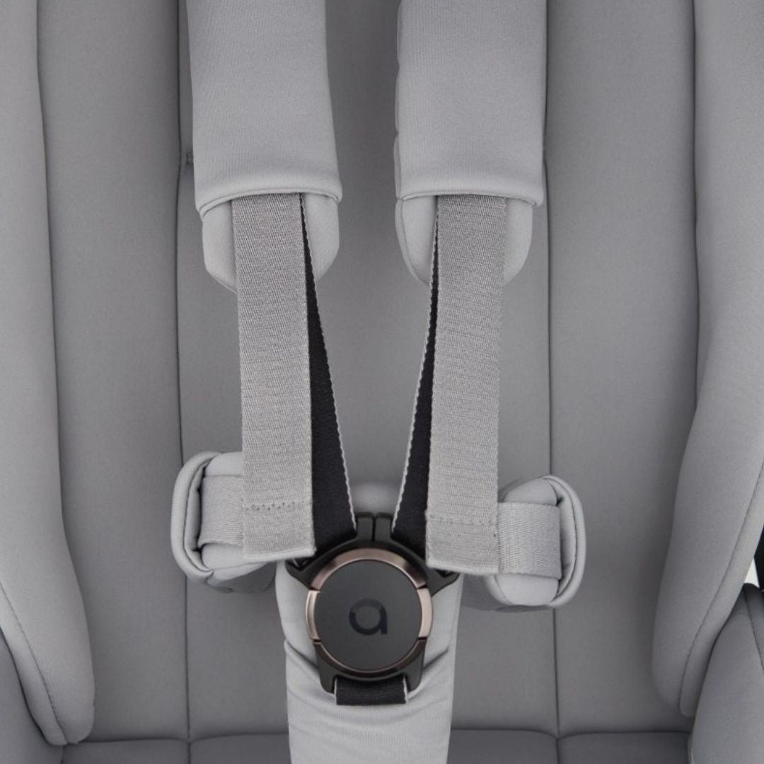 Anex® Otroški voziček 2v1 Flo Frossy Anex