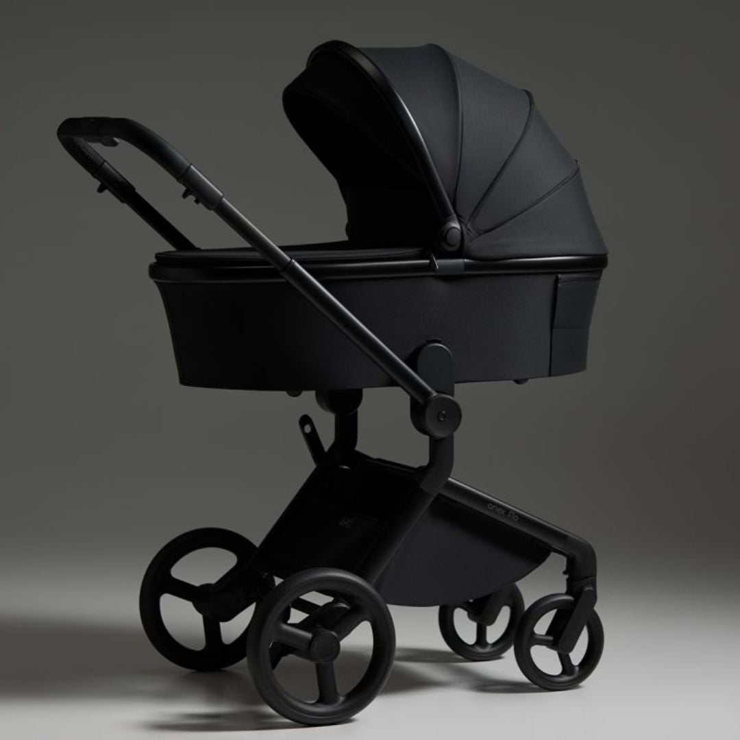 Anex® Otroški voziček 2v1 Flo Lungo Anex