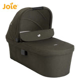 Joie® Košara za novorojenčka Ramble™ XL Fern