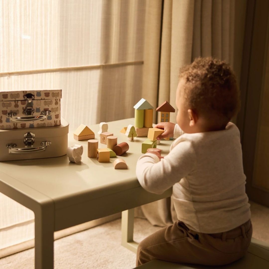 Jollein® Set lesenih kock Jollies