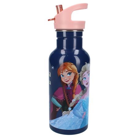 Slika Disney's Fashion® Steklenička 500ml Frozen II