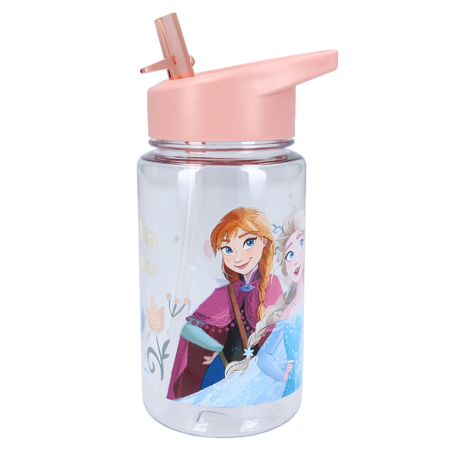 Slika Disney's Fashion® Steklenička 450ml Frozen II Drink Up